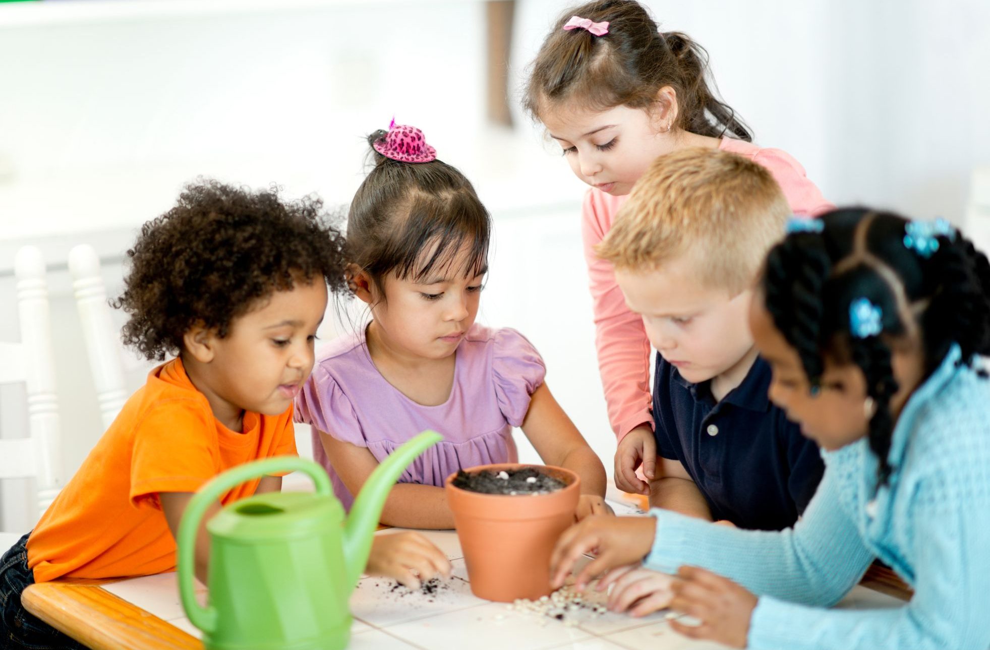 kleuterkampus hermanus, kleuterskool hermanus, top kleuterskool in hermanus, beste kleuterskool in hermanus, hermanus kleuterskool, afrikaanse kleuterskool in hermanus, afrikaanse voorskoolse onderrig in hermanus, dagsorg in hermanus, beste dagsorg in hermanus, top dagsorg in hermanus, heramnus dagsorg